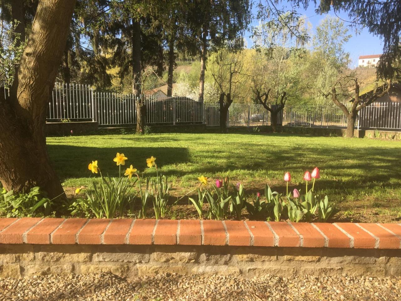 B&B Cantine Pietronero Orsara Bormida Dış mekan fotoğraf